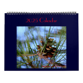 Schätze finden sich jeden Tag. Kalender