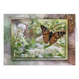 Schätze im Üblichen