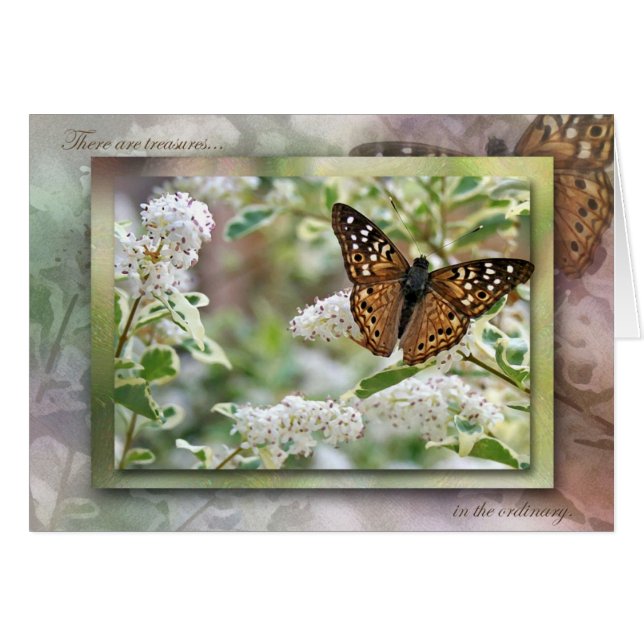 Schätze im Üblichen (Vorderseite (Horizontal))