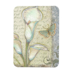 Schätzen Sie Magnet