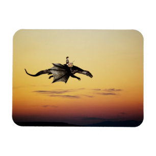 Schatzsuche Magnet