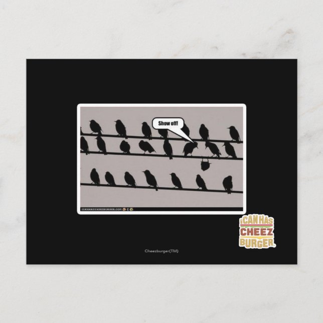 Schau ab! postkarte (Vorderseite)