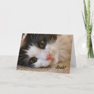 Schau! Diese Katze wünscht einen guten Geburtstag! Karte