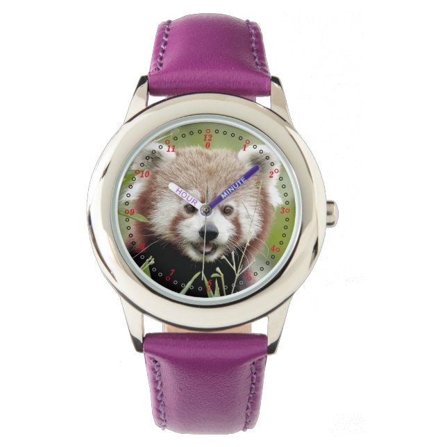 Schau dir den roten Panda des Fotos an. Panda roux Armbanduhr (Vorderseite)