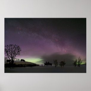 "Schau zurück." Border Collie Poster