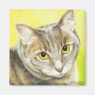 Schaubild des Liebe-Magneten Magnet