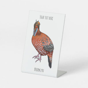 Schaubild des tragopanischen Cartoon von Cabot Sockelschild