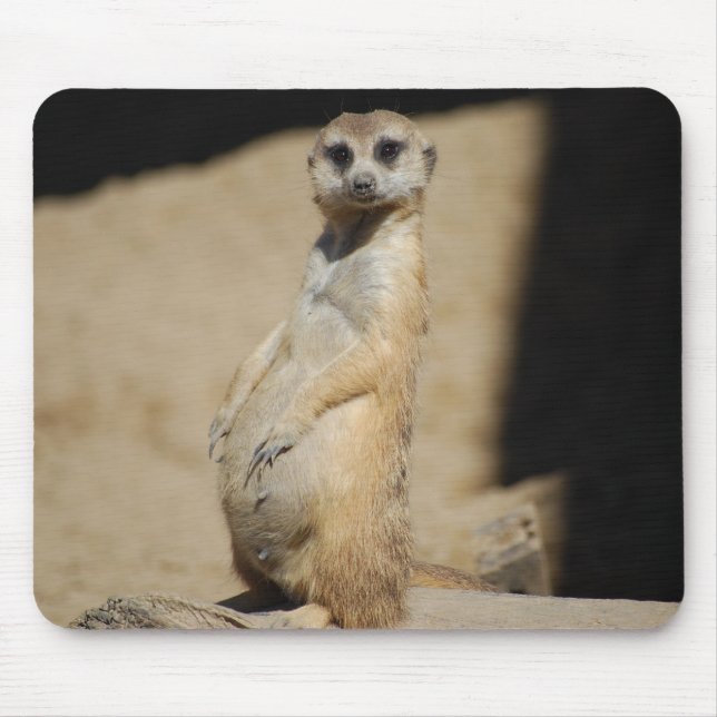 Schaue ich fett? mousepad (Vorne)