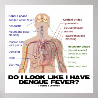 Schaue ich, wie ich Dengue-Fieber habe? (Anatomie) Poster