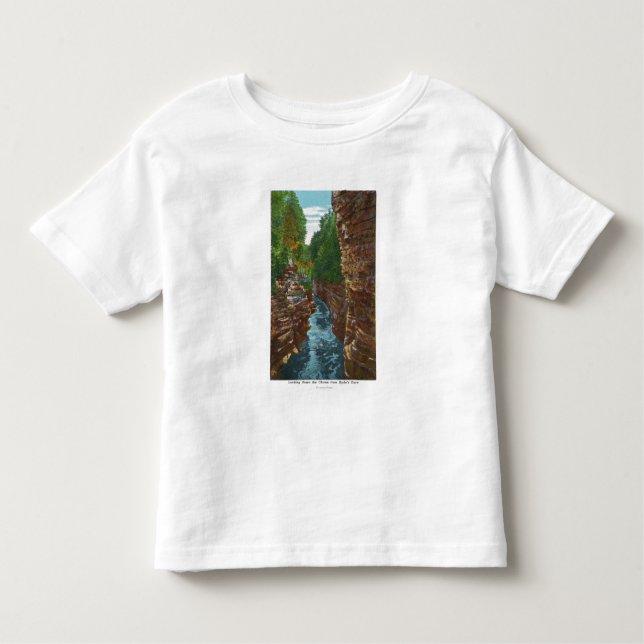Schauen hinunter Ausable Abgrund von Hydes Höhle Kleinkind T-shirt (Vorderseite)