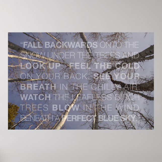 Schauen Poster (Vorne)