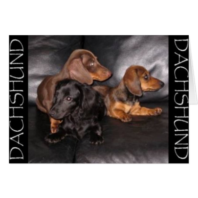 Schauen Sie auf die andere Weise (Vorderseite (Horizontal))