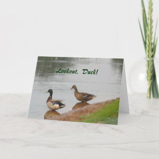 Schauen Sie. Ente! Geburtskarte Karte