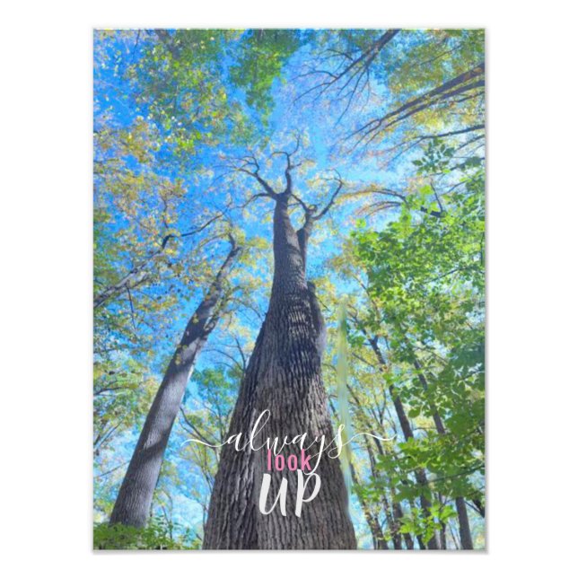 Schauen Sie immer nach Herbsthimmel und Blätter Fotodruck (Vorne)