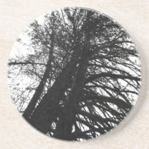 Schauen Sie in den Bäumen nach