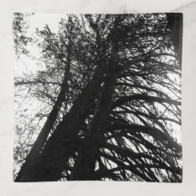 Schauen Sie in den Keramik-Fliesen