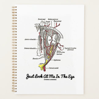 Schauen Sie mich einfach in der Augenanatomie an Planer