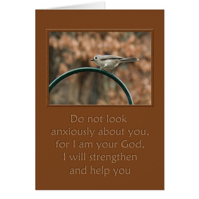 schauen Sie nicht ängstlich auf Sie Vogel auf Boge (Vorne)