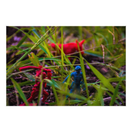 Schauen Sie sich das Kodak Pro Paper (Satin) auf d Fotodruck