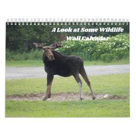 Schauen Sie sich den Terminkalender "Wildlife Wall Kalender