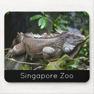 Schauen Sie sich Me Lizard Singapore Zoo an Mousepad