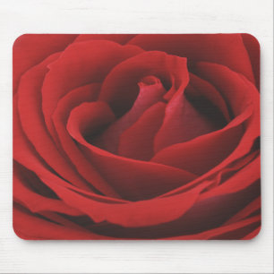 Schauen Sie von einer Samt-reichen Roten Rose Mousepad