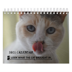 Schauen Sie, was die Katze in Kalender der