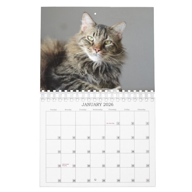 Schauen Sie, was die Katze in Kalender der (Jan 2026)