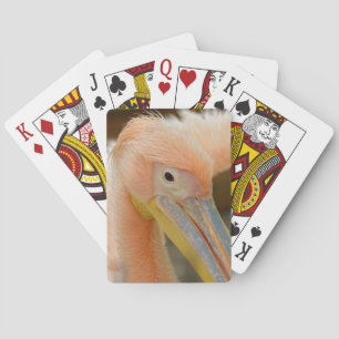 Schauen Sie, wie Sie Pelican Playing Cards spielen Spielkarten