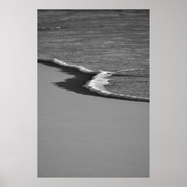 Schaumkiss Poster (Vorne)