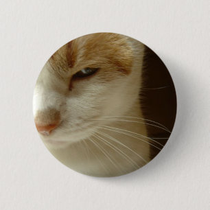 Schauspiel Button