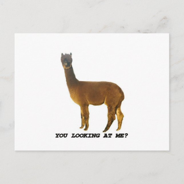 Schaust du mich an? postkarte (Vorderseite)