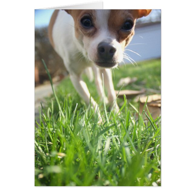 Schaut einfach rein um Hallo zu sagen! (Vorne)