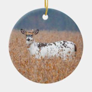 Scheckenhirsch-Foto-Ornament Keramik Ornament