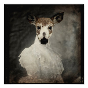 Scheckenhirsch in Kleid Fotodruck