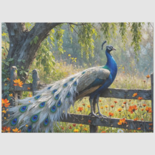Scheckiger Pfau auf einem Zaun aus geteilten Schie Seidenpapier