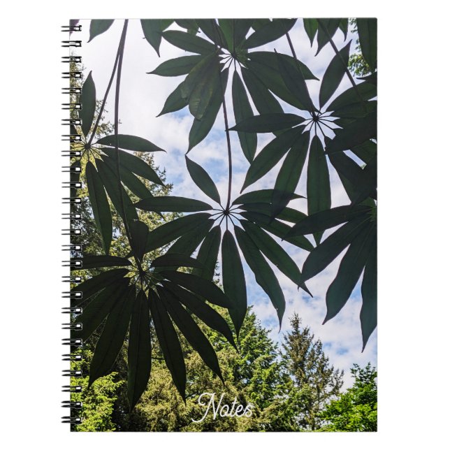 Schefflera Pflanze Blätter Floral Notizblock (Vorderseite)