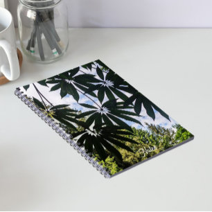 Schefflera Pflanzenblüten Notizblock
