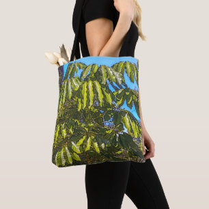 Schefflera Schirme Tragetasche