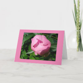 Scheidungskarte Karte