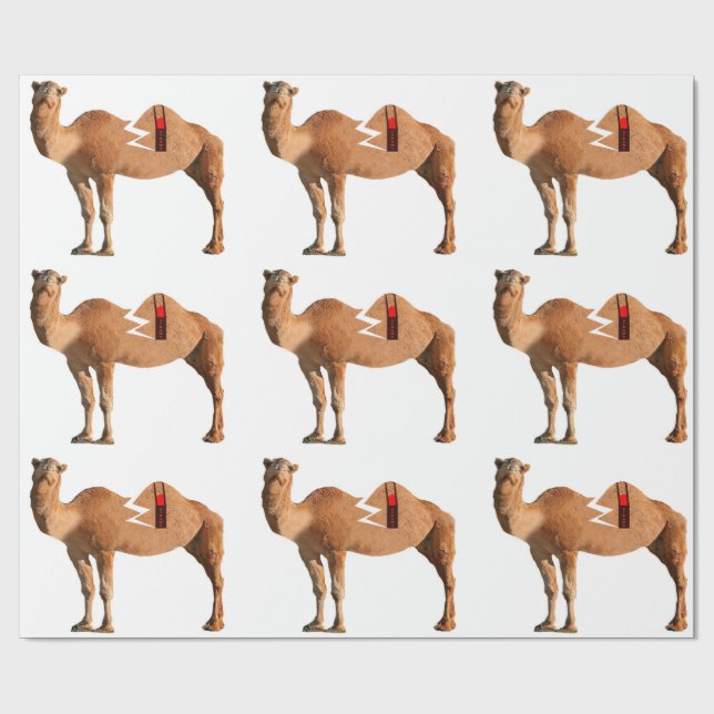 Scheidungspapier Geschenkpapier (Flach)