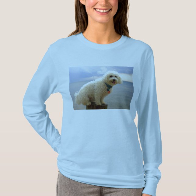 Schein T-Shirt (Vorderseite)