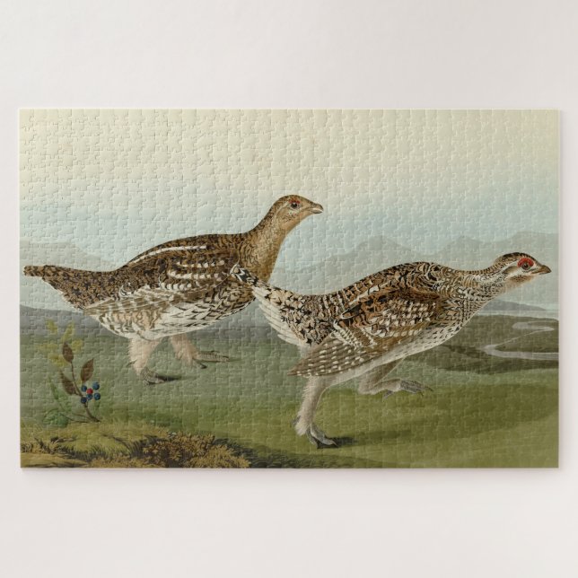 Schellfresser - Audubons Vögel in Amerika Puzzle (Horizontal)