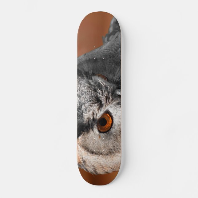 Schelm Skateboard (Vorderseite)