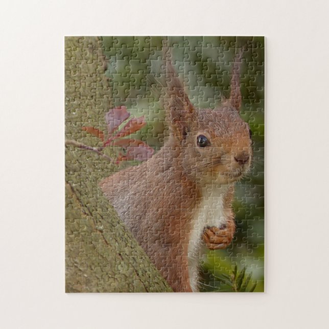 Schelmiges Rotes Eichhörnchen Puzzle (Vertikal)