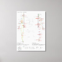 Schematische Darstellung der chinesischen Ärzte de