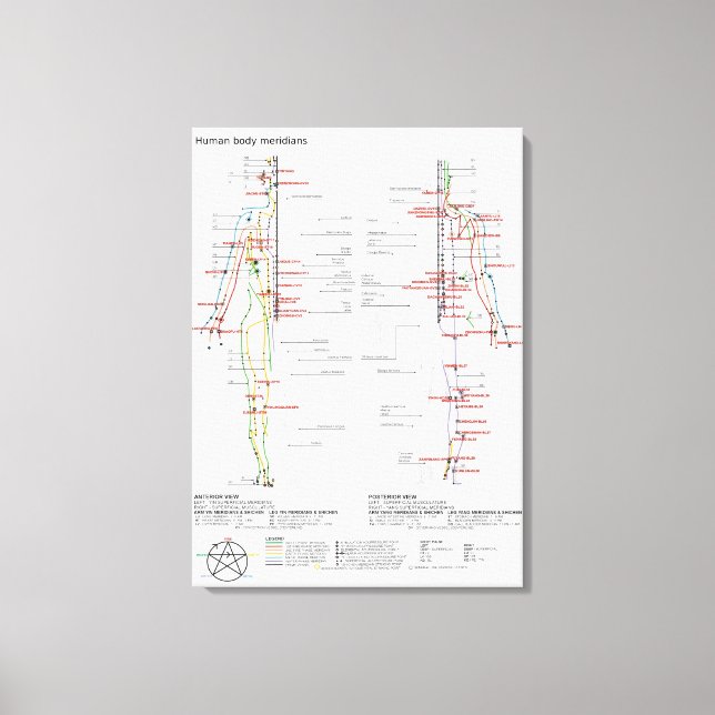 Schematische Darstellung der chinesischen Ärzte de Leinwanddruck (Vorderseite)