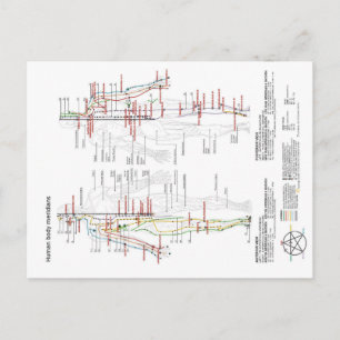 Schematische Darstellung der chinesischen Ärzte de Postkarte
