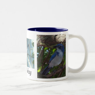Scheuern Sie Jay-Tasse Zweifarbige Tasse