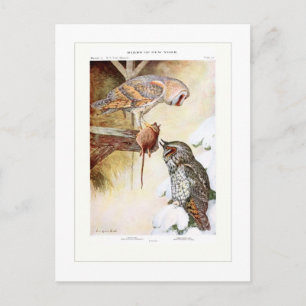 Scheune und Eichen Postkarte